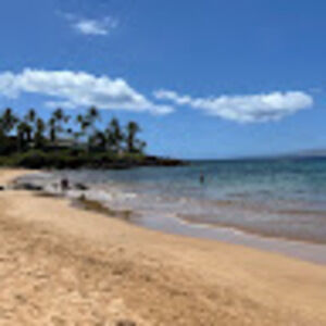 Meet your Posher, Irene